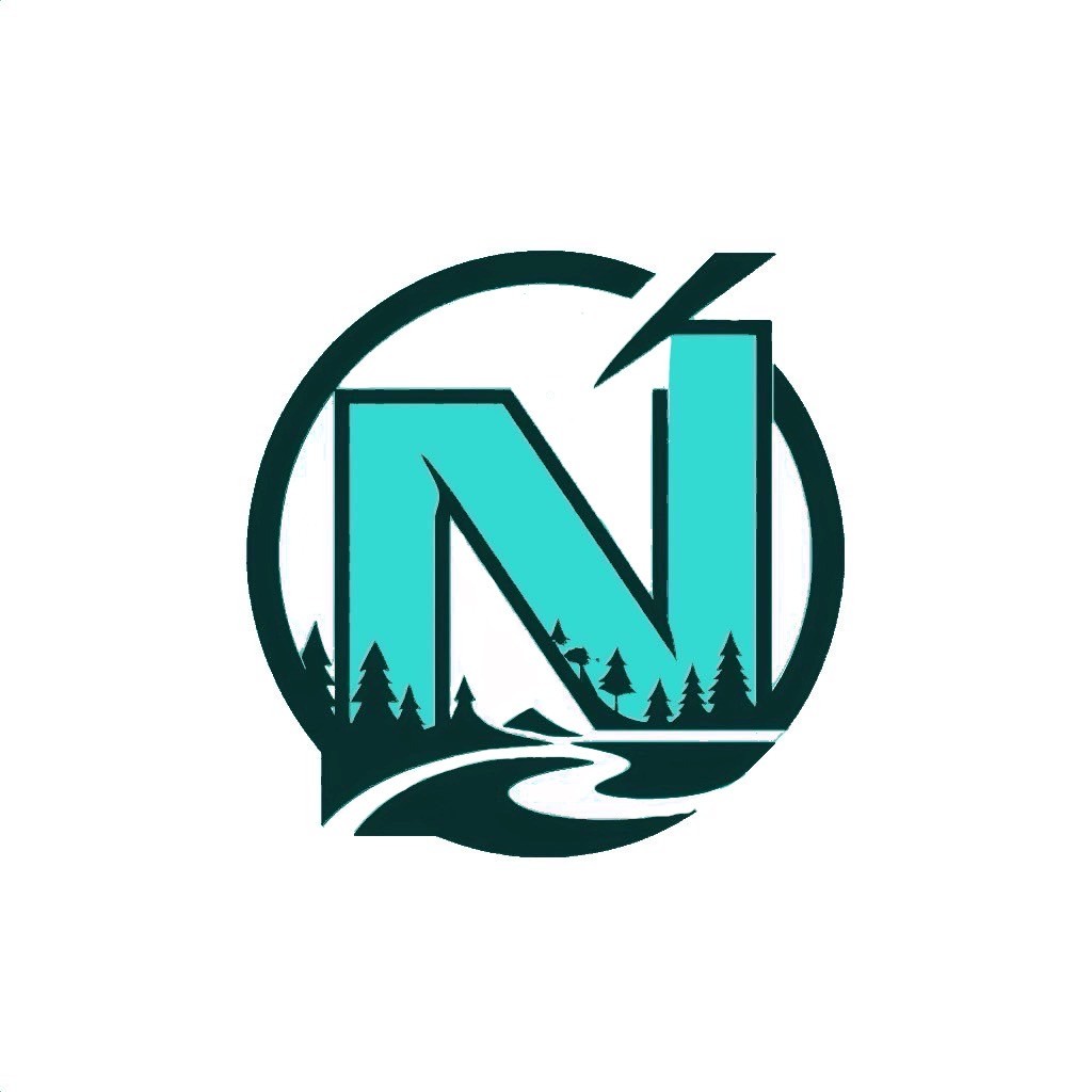 N-vision